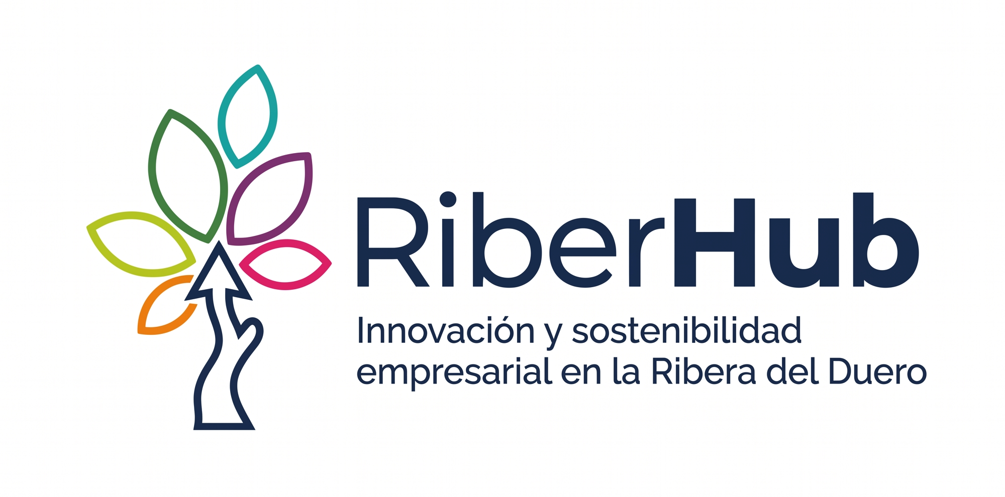 Lanzamiento de RiberHub